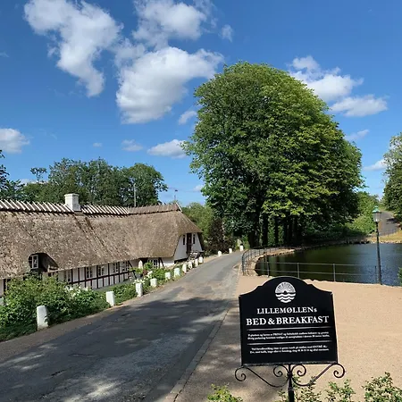 Lillemollens