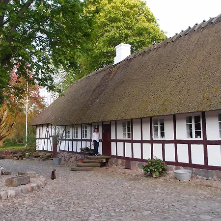 Lillemollens Bed & Breakfast *