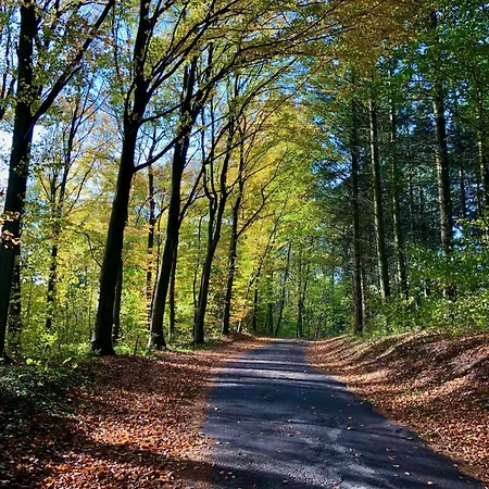 Lillemollens Panzió Ørbæk